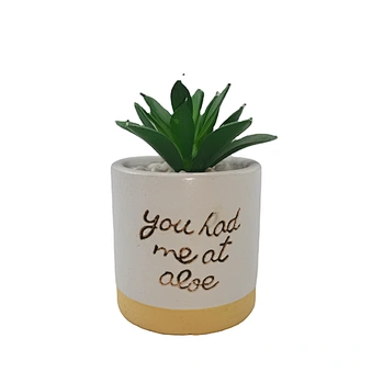 Wholesale Mini Simulation Succulent Plants - Ceramic Pots Realistic Suitable for Gift Office Home Decoration