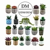 Succulent Plants Tropical Plants