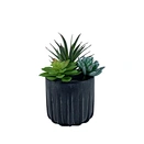 Wholesale 100pcs Artificial Succulents Bulk - Mini Fake Cactus Plants for DIY Craft Wedding Decor Cheap