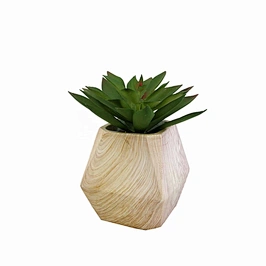 faux succulents