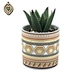 indoor plant pots