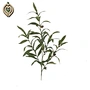 fake olive tree