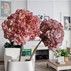 hydrangea petiolaris