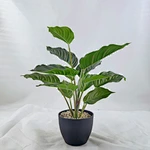 Best price hot selling decorations newly designed made in china wholesale evergreen monstera artificial plant