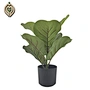 artificial plant