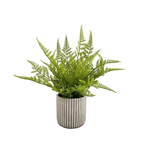 Artificial fern potted