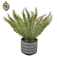 artificial bonsai trees plant