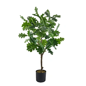 Interior decoration bonsai