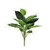 single flower