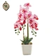 plastic decor orchids
artifici flower orchids
decor flower orchids