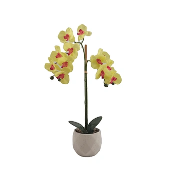 Butterfly Orchid Mini Orchid 
flowers artificial flowers home decoration pieces
wholesale artificial flowers wholesale
orchid flowers artificial with pot
artificial flowers real touch high quality
orchids artificial flowers real touch artificial flowers w