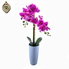 Fake Flower
artificial flowers
Real Touch
decorations for home
party decoration
room decor
house decor
interior decoration
event decor
other decorative flowers & plants
decorative flowers wreaths and plants
fake plants
centerpieces
flowers artificial
arti