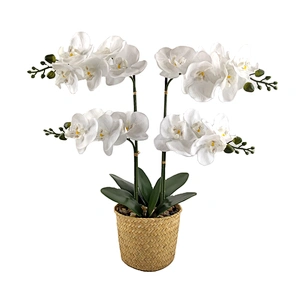 artificial orchid flower Artificial plant potted artificial plant orchid
artificial flower for home decor phalaenopsis artificial orchid flower
Decorative Flowers Artificial Flowers
decorations for home
party decoration
room decor
house decor
interior dec