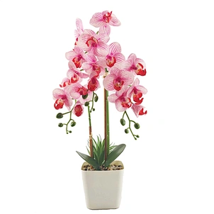Artificial flower
Artificial plant
flower artificial decor
decorations for home
party decoration
room decor
house decor
interior decoration
event decor
other decorative flowers & plants
decorative flowers wreaths and plants
fake plants
centerpieces
Realis