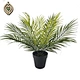 New Arrival Decoration Artificial Light Natural Touch Leaf Trees for Outdoor Climbing Plants Vertical Green Wall Grass Support