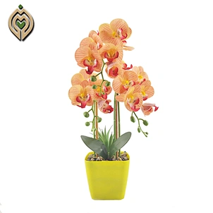 plastic decor orchids
artifici flower orchids
decor flower orchids
Plastic Pot Artificial flower
Artificial Phalaenopsis Orchid
botanical displays
flowers artificial
artificial flowers wholesale
artificial flowers decor
artificial flowers decor wedding
or