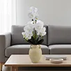 Tall Faux Orchid Floor Plant-Evergreen & Eco-Friendly for Wedding Christmas & Graduation Home Decor