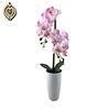 Fake Flower
Artificial Flowers
fake plants
decorations for home
party decoration
room decor
house decor
interior decoration
event decor
other decorative flowers & plants
centerpieces
artificial plant
artificial flowers wholesale
Silk flowers
artificial fl