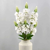 delphinium artificial flower
Artificial delphinium
fack delphinium
faux delphinium
faux flower
fack flower
thanksgiving artificial flowers
handmade delphiniums
halloween artificial flowers
soft artificial flowers
high quality artificial flowers
handcrafte
