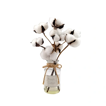 New Design Artificial Cotton Fabric Flower Glass Potted Evergreen Eco-Friendly High Simulation Halloween New Year Graduation