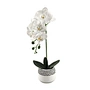 Handmade Artificial Realistic Phalaenopsis Flower Arrangement PE Material White Vase Halloween Mother's Day Christmas Graduation