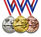 High Quality MOQ 50 Bulk Order Free Samples 4 Inch Fashion Event Metal Sport Awards Trusted Manufacturer Universal Karate Medals