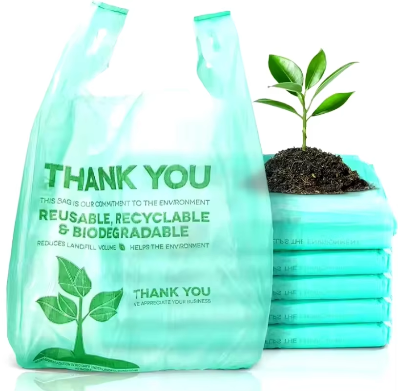 the-invisible-thresholds-of-plastic-bag-printing-and-processing.html