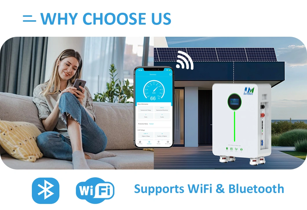 Lifepo4 Battery