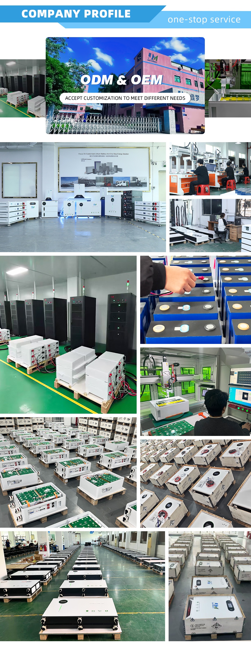 lithium ion batteries pack 48V
