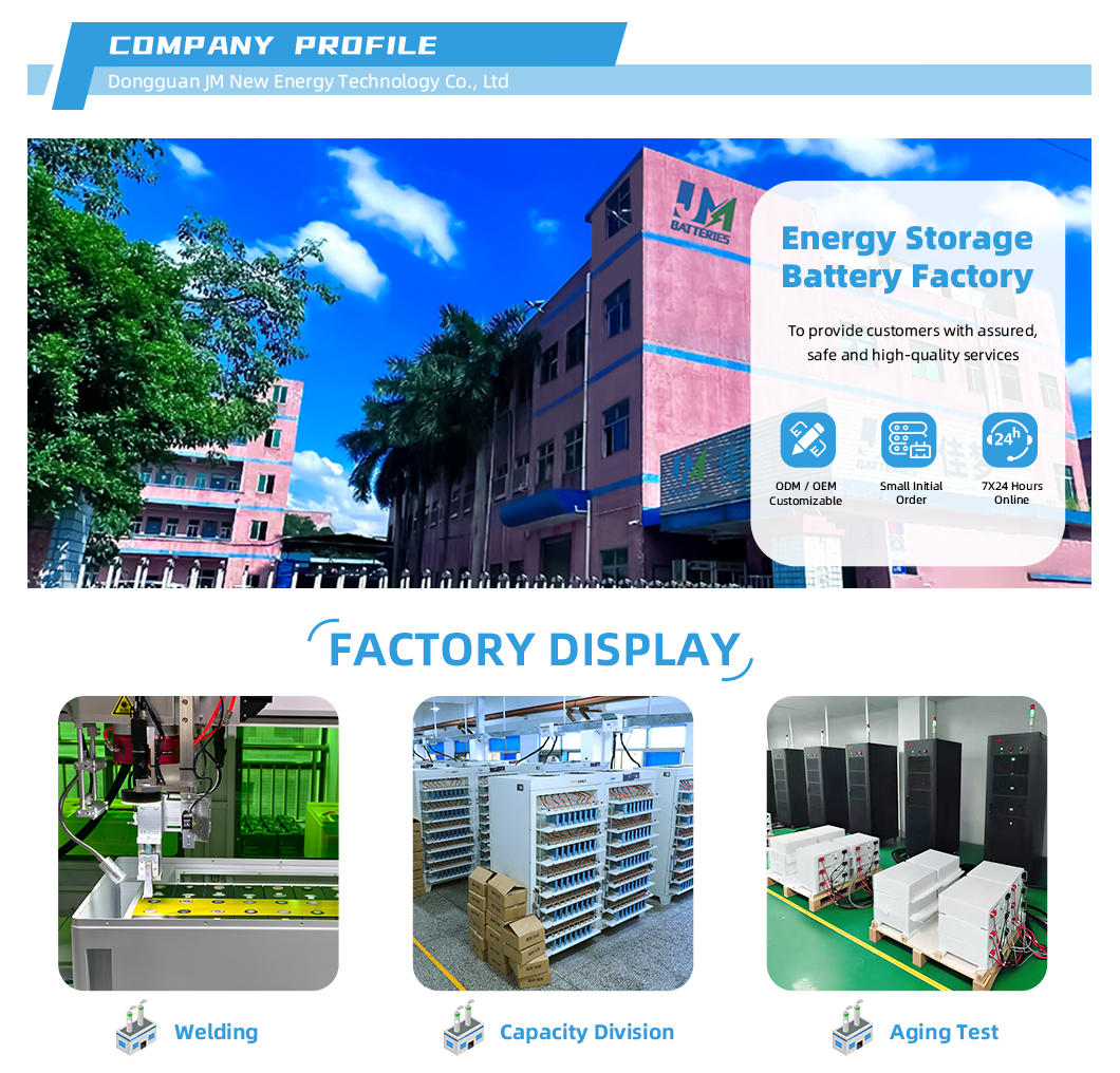 OEM ODM lifepo4 battery manufacturing