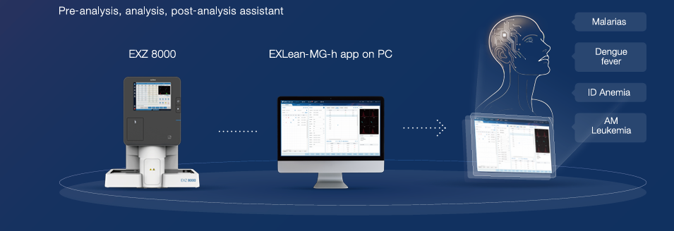 automated hematology analyzer