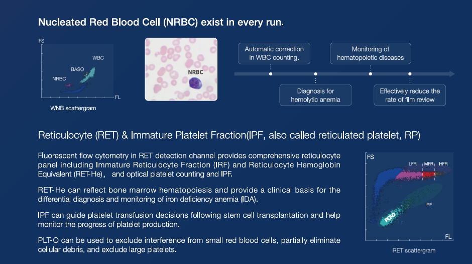 automated hematology analyzer
