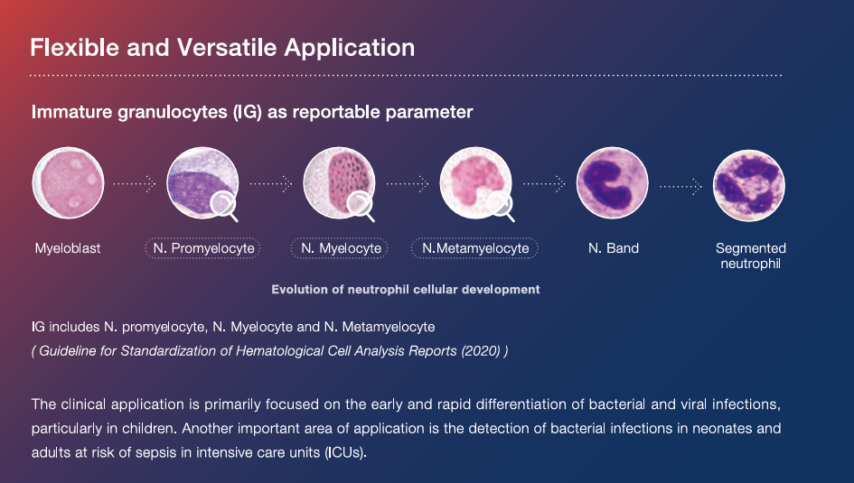 automated hematology analyzer