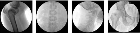 High-resolution clinical image.