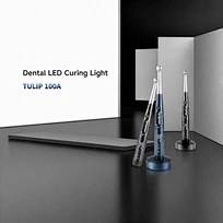 UV curing machine
