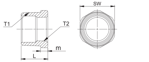 hex bushing