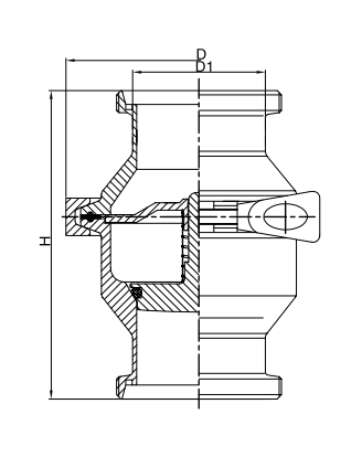 threaded check valve
