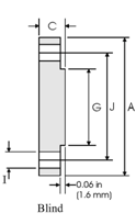 stainless blind flange