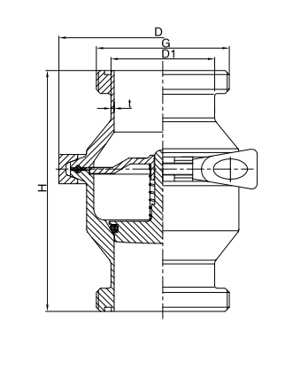 threaded check valve