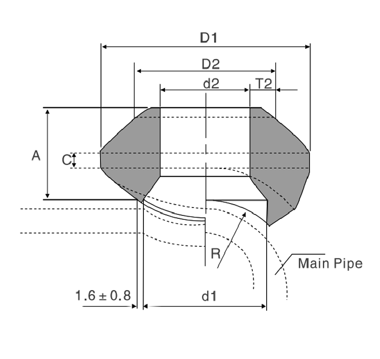 weldolet fittings