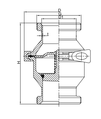 threaded check valve