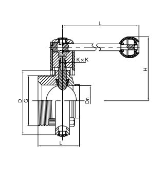 sanitary butterfly valve