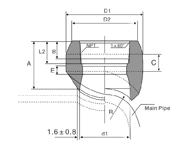 threadolet fittings