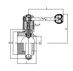 sanitary butterfly valve