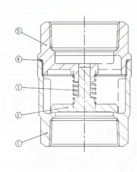 vertical check valve