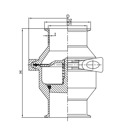 clamped check valve