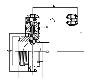 sanitary butterfly valve