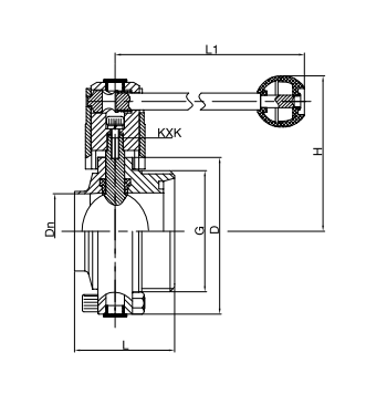sanitary butterfly valve