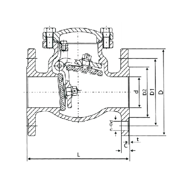 ss check valve