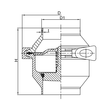 welded check valve